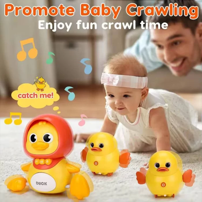 عمده فروشی و تکفروشی