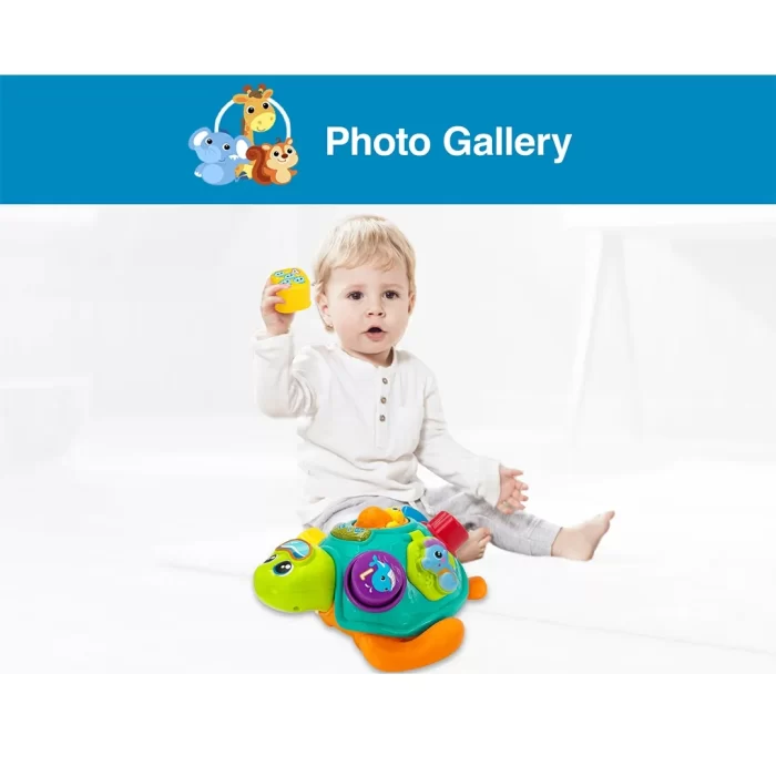 وین فان Winfun